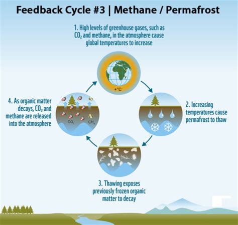 eliot jacobson climate|methane feedback loop.